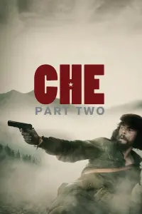 Poster to the movie "Che: Part Two" #148914