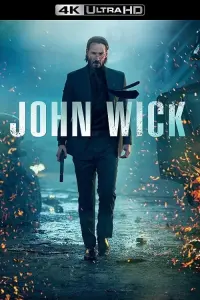 Poster to the movie "John Wick" #51566