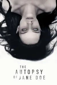 Poster to the movie "The Autopsy of Jane Doe" #69857