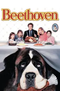 Poster to the movie "Beethoven" #93558