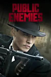 Poster to the movie "Public Enemies" #271246