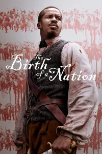 Poster to the movie "The Birth of a Nation" #281360