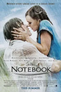 Poster to the movie "The Notebook" #313248