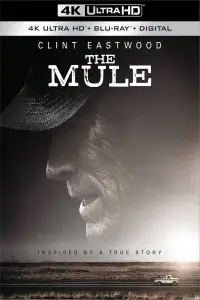 Poster to the movie "The Mule" #69741