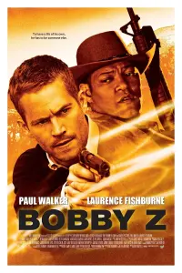 Poster to the movie "The Death and Life of Bobby Z" #301486