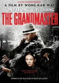 Poster to the movie "The Grandmaster" #275669