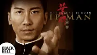 Backdrop to the movie "The Legend Is Born: Ip Man" #261936