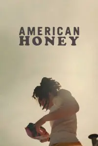 Poster to the movie "American Honey" #261738