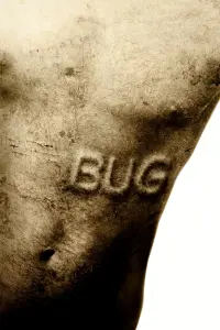 Poster to the movie "Bug" #304275