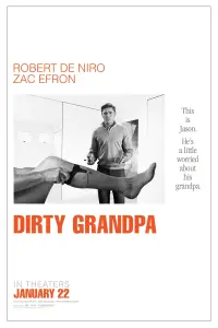 Poster to the movie "Dirty Grandpa" #78753