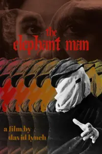 Poster to the movie "The Elephant Man" #699801