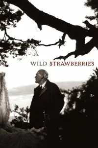 Poster to the movie "Wild Strawberries" #177607