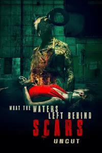 Poster to the movie "What the Waters Left Behind: Scars" #144782