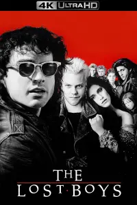 Poster to the movie "The Lost Boys" #113444