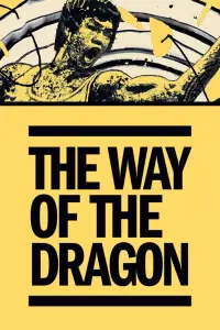 Poster to the movie "The Way of the Dragon" #82874