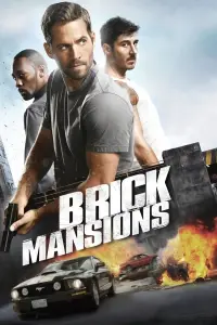 Poster to the movie "Brick Mansions" #89453