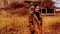 Backdrop to the movie "Grey Gardens" #501013