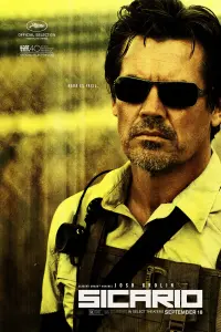 Poster to the movie "Sicario" #39668