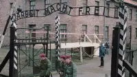 Backdrop to the movie "The Guard of Auschwitz" #553249