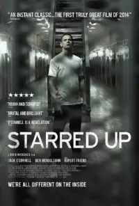 Poster to the movie "Starred Up" #240629