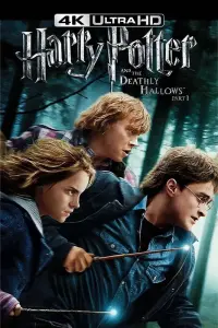 Poster to the movie "Harry Potter and the Deathly Hallows: Part 1" #530026