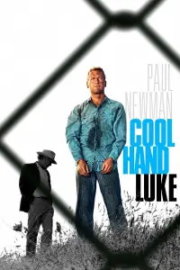 Poster to the movie "Cool Hand Luke" #102963