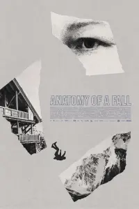 Poster to the movie "Anatomy of a Fall" #368235