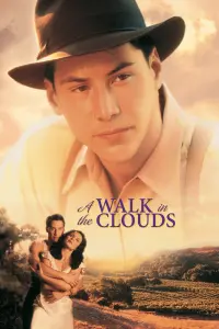 Poster to the movie "A Walk in the Clouds" #84696