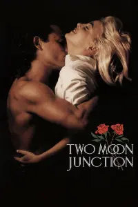 Poster to the movie "Two Moon Junction" #328256