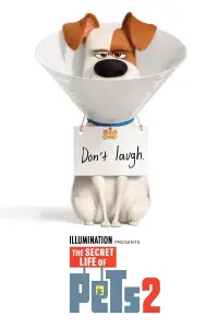 Poster to the movie "The Secret Life of Pets 2" #32688