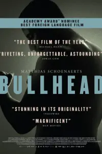 Poster to the movie "Bullhead" #238884