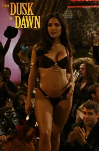 Poster to the movie "From Dusk Till Dawn" #383107