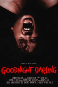 Poster to the movie "Goodnight Darling" #582292