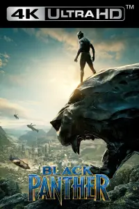 Poster to the movie "Black Panther" #219896