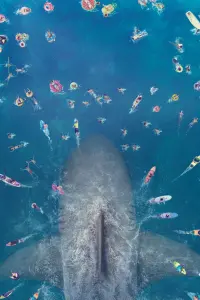 Poster to the movie "The Meg" #170591