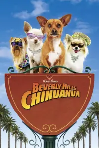 Poster to the movie "Beverly Hills Chihuahua" #75828