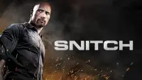 Backdrop to the movie "Snitch" #121114