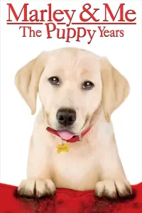 Poster to the movie "Marley & Me: The Puppy Years" #158069