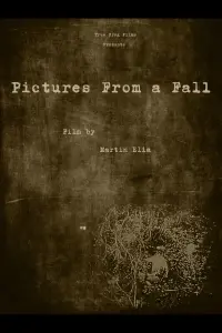 Poster to the movie "Pictures From a Fall" #467675