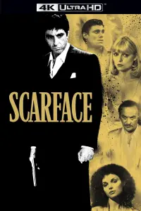 Poster to the movie "Scarface" #22616