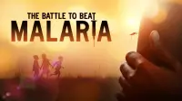 Backdrop to the movie "The Battle to Beat Malaria" #543366