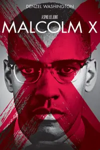 Poster to the movie "Malcolm X" #112575