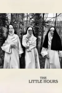 Poster to the movie "The Little Hours" #338123