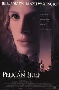 Poster to the movie "The Pelican Brief" #276841