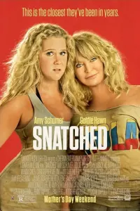 Poster to the movie "Snatched" #87282