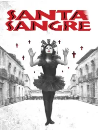 Poster to the movie "Santa Sangre" #239470