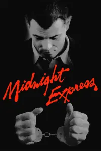 Poster to the movie "Midnight Express" #116051