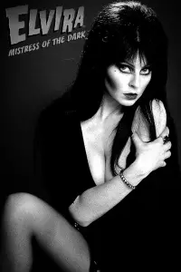 Poster to the movie "Elvira, Mistress of the Dark" #560429