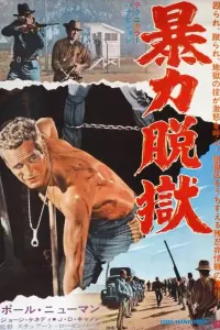 Poster to the movie "Cool Hand Luke" #570449