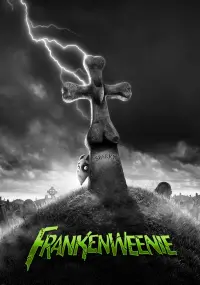 Poster to the movie "Frankenweenie" #112559